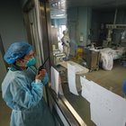 Coronavirus, morto il direttore dell'ospedale di Wuhan. Forse un italiano infetto sulla Diamond Princess