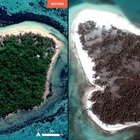Tonga, una Pompei nell'oceano: isole sotto la cenere e almeno tre morti. Le immagini aeree e la distruzione portata da vulcano e tsunami