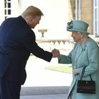 immagine La regina Elisabetta infuriata con Trump: «Col suo elicottero ha rovinato il prato di Buckingham Palace»