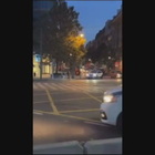 Attacco a Bruxelles, le immagini: gli spari del killer, la fuga dei passanti VIDEO