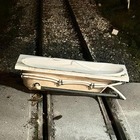immagine Circumvesuviana di Napoli, fermati i tre minorenni della vasca da bagno