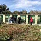 «Cani denutriti». Bufera su un canile, trasferiti altrove gli animali «Cani denutriti». Bufera su un canile, trasferiti altrove gli animali