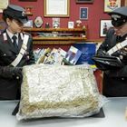 Compra online pastori per il presepe, a casa gli arriva un pacco con 10 kg di marijuana