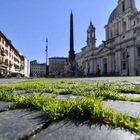 Piazza Navona l’erba cresce tra i sampietrini (foto Daniele Leone/Ag.Toiati)