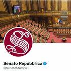 Senato live Twitter