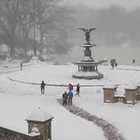 Nevicata record a New York, tutta la città imbiancata