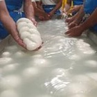 immagine Mozzarella dop, primo progetto sull’Intelligenza Artificiale contro l’Italian sounding