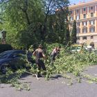 Roma, cade albero in via Cola di Rienzo, ferito un uomo: è grave