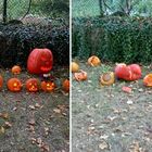 Prete distrugge le zucche decorate dai bambini per Halloween: «Sono simboli di Satana, proteggo le famiglie dal male»
