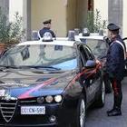 Due attentati dinamitardi nella notte ad Andria
Nel mirino un'agenzia di pratiche e concessionaria Due attentati dinamitardi nella notte ad Andria
Nel mirino un'agenzia di pratiche e concessionaria