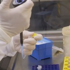 Tumore all'utero, nuova terapia genica rivoluzionaria: «Guarigioni al 100%», test sui topi
