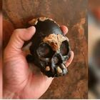 Sud Africa, scoperto teschio di bambino di 240mila anni fa