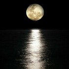 La Luna "ballerà", allarme Nasa: «Nel 2030 possibili inondazioni catastrofiche». Studio choc