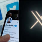 Twitter cambia logo: la rivoluzione di Elon Musk