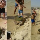 Tartaruga marina maltrattata dai turisti (GreenArea)