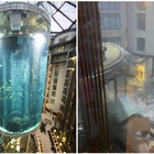 Berlino, esploso l'acquario cilindrico più grande al mondo: rovesciati un milione di litri d'acqua salata e 1.500 pesci esotici. Due persone ferite dai vetri rotti VIDEO