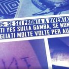 • 10 casi a Milano ma zero riscontri. "Psicosi ed emulazione"