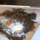 Roma: boom di topi avvelenati dai residenti esasperati, all'Esquilino è una strage. «Troppa sporcizia, così non si vive più»
