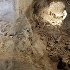 Neanderthal, i resti di 9 uomini trovati al Circeo. Franceschini: «Straordinario»