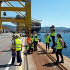 Sciopero portuali, commissione garanzia: blocco Trieste illegittimo. 