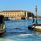 Venezia, ragazzo si spoglia e si butta nella laguna: il tuffo da sotto il ponte di Calatrava