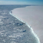 L'iceberg più grande del mondo si è sciolto: si chiamava A68, era di 6.000 km quadrati