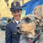 Abbandonata in strada e salvata dal canile, la cagnolina Lisa diventa poliziotta nel gruppo cinofili
