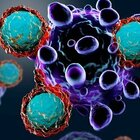 Tumore prostata, farmaci «miracolosi» per curarlo: lo studio inglese sull'immunoterapia