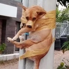 Lega il cane del vicino a un palo della luce col nastro adesivo e lo filma: «Ha fatto i bisogni davanti a casa mia». Doki salvato dalla polizia