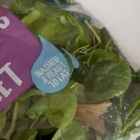 Scopre un enorme insetto "clandestino" nell'insalata del supermercato, il video lascia senza parole