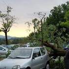 Bomba d'acqua su Rieti, albero cade su auto in sosta all'ospedale de Lellis Le foto