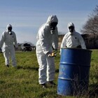 immagine Caivano, scoperti rifiuti pericolosi nella Terra dei Fuochi: sequestrata area di 4000 metri quadri