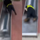 Poliziotto cade da uno scivolo e si ferisce: deriso e umiliato, il video fa il giro del mondo