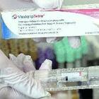 Treviso. Vaccino contro l'influenza: «Le prime scorte sono già esaurite»