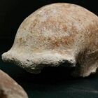 Circeo, ritrovati i resti di 9 uomini di Neanderthal (risalgono a oltre 50.000 anni fa)