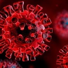 Ucraina, allerta fuoriuscita virus dai laboratori. Oms: «Distruggere agenti patogeni ad alta minaccia»