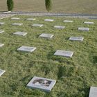 • Il cimitero degli animali di Milano: boom di sepolture