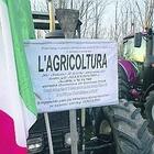 immagine La protesta dei trattori ad Avellino: 200 mezzi pronti a calare in città da Flumeri