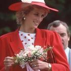 Lady Diana, Il ritratto di Carlo con William e Harry che le devastò il cuore