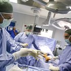 Cancro del colon, sperimentata al Candiolo (Torino) una nuova terapia: elimina le proteine che alimentano la malattia