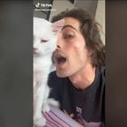 Damiano dei Maneskin canta insieme al gatto Ziggy, il video è virale