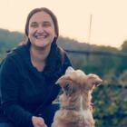 Incidente sull'A4, addestratrice di cani morta dopo lo schianto con un camion: salvo il pitbull che era in macchina con lei