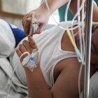 Dengue, in India 70 morti in 7 giorni e scuole chiuse