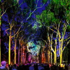 EverNow: a Perth, in Australia, il Festival che celebra la cultura aborigena