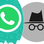 WhatsApp, come usare l'app in incognito e non farsi vedere dai propri contatti