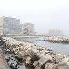 Foto | La nebbia avvolge il Golfo