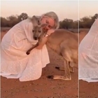 Australia, il canguro Abi ogni mattina abbraccia i suoi salvatori: il video è commovente