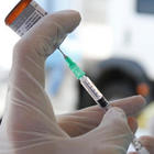 Vaccino coronavirus, il primo test: «I macachi si sono riammalati». Ma poi arriva la smentita