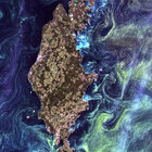 Oceani cambiano colore per «l'effetto Van Gogh»