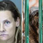 Finta volontaria prende i soldi per i cani e poi li maltratta: in casa 55 animali in fin di vita, 5 cuccioli morti in freezer
